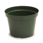 Picture of 7" Azalea Elite Plastic Pot Green