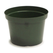 Picture of 8" Azalea Elite Plastic Pot Green