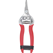 Picture of 1" Short Curved Stainless Steal Snips