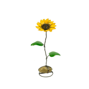 Picture of Sunflower On Rock