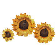 Picture of Wall Sunflower #3  3Pc Set