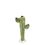 Picture of Cactus W/ Flower - Medium