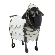 Picture of Sheep Cartoon Casepack (3ea)