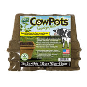 Picture of Cowpots 6/pk