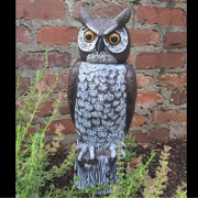 Picture of 18" Rotating-Head Owl Hand-Painted