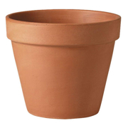 Picture of Clay Pot Standard 7cm/2.75"  (4800/Plt)