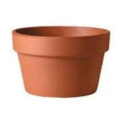 Picture of Azalea Pot Clay 31cm/12" (130/Plt)