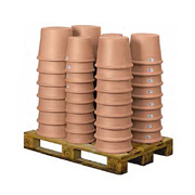 Picture of Blush Clay Cylinder Cono Cly (61 pcs)
