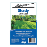 Picture of Evergro Shady Grass Seed   4Kg