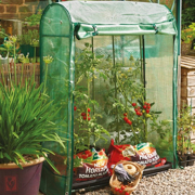Picture of Premium Tomato Growhouse