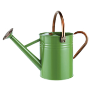 Picture of 1 Gallon Tweed Green Watering Can With Copper Acce