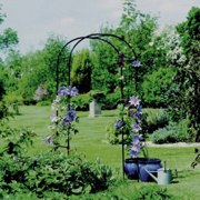Picture of Rose Arch 3'3" Wide x 6'3" High x 19" Deep
