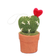 Picture of Heart Cactus Hanging