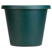 Picture of 8" Classic Pot Evergreen