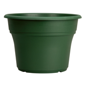 Picture of 10" Panterra Pot Green