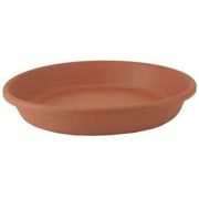 Picture of 14" Classic Saucer Clay