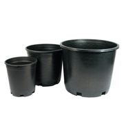 Picture of Nursery Pot Black 7 gal