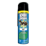 Picture of Ant Killer 439g Domestic Aerosol (CS ONLY)