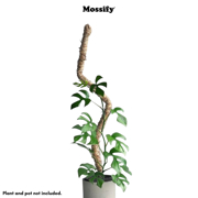 Picture of Bendable Moss Pole™ - 42"