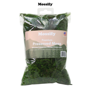 Picture of Preserved Moss Small Bag