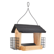 Picture of Cedar - 3QT Hopper bird feeder with 2 Suet Cages