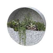 Picture of 14" Wall Planter Round Galvanized