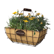 Picture of 14" Welcome Basket with handle, rust