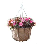 Picture of Grower Rustic Hanging Basket with wire 12"