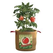 Picture of Tomatoes Grow Bag 20 Gal
