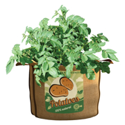 Picture of Potatoes Grow Bag 30 Gal