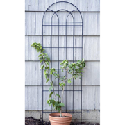 Picture of Classic Trellis  (72" Tall X 22" Wide)