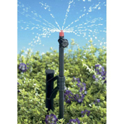 Picture of 13" Heavy Duty Stake W/8" Adjustable Riser 2/Card