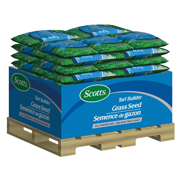 Picture of Turf Builder Grass Seed All Purpose 5Kg DS (50Pcs)