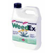 Picture of Weedex Concentrate 1 L