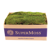Picture of Sheet Moss Preserved Fresh Green 5lb Box