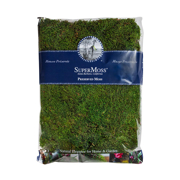 Picture of Sheet Moss Preserved Fresh Green 16oz Bag