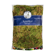 Picture of Forest Moss Dried Natural Green 16oz Bag