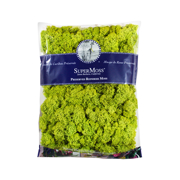 Picture of Reindeer Moss Preserved Chartreuse 16oz Bag