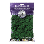 Picture of Reindeer Moss Preserved Forest 2oz Bag