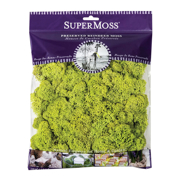 Picture of Reindeer Moss Preserved Chartreuse 4oz Bag