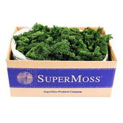 Picture of Reindeer Moss Preserved Forest 3lbs Box