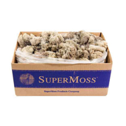 Picture of Reindeer Moss Preserved Natural 3lbs Box