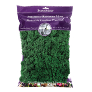 Picture of Reindeer Moss Preserved Forest 8oz Bag