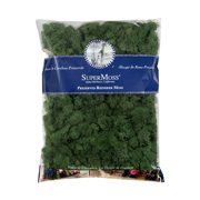 Picture of Reindeer Moss Preserved Forest 16oz Bag