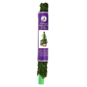 Picture of Moss Pole Preserved Fresh Green 30in