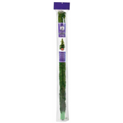 Picture of Moss Poles 3ft