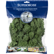 Picture of Reindeer Moss Preserved Basil 4oz Bag