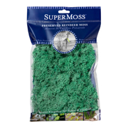 Picture of Reindeer Moss Preserved Mint 2oz Bag