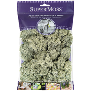 Picture of Reindeer Moss Preserved Moss Green 4oz Bag