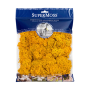 Picture of Reindeer Moss Preserved Mango 4oz Bag